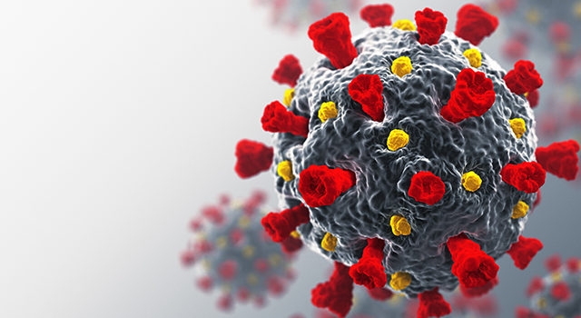 Dünya Sağlık Örgütü'nden koronavirüs açıklaması: Henüz bir kanıt yok