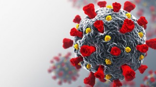 Dünya Sağlık Örgütü'nden koronavirüs açıklaması: Henüz bir kanıt yok